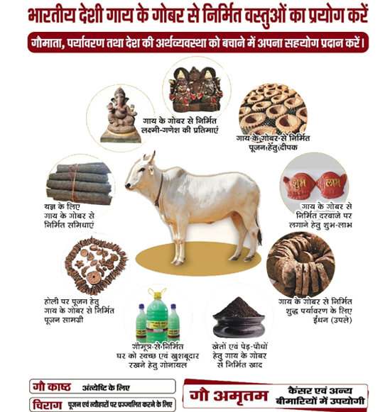 Eco-Friendly Cow Dung Products